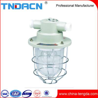 ABP type 100W safety explosion-proof incandescent lamp ( IIC )